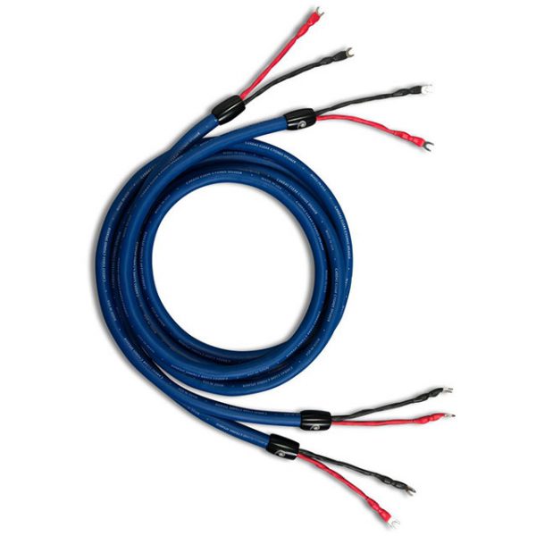 Cardas Clear Cygnus 喇叭線