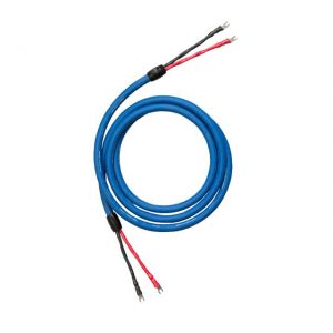 Cardas Clear 喇叭線