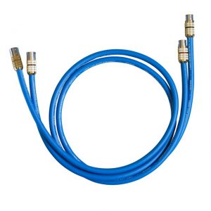 Clear Beyond 訊號線