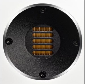 Carina竹北ELAC專賣店